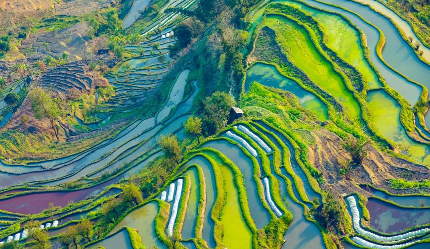 走进蓬江区TVC拍摄：解锁本地化场景与创意镜头的完美融合